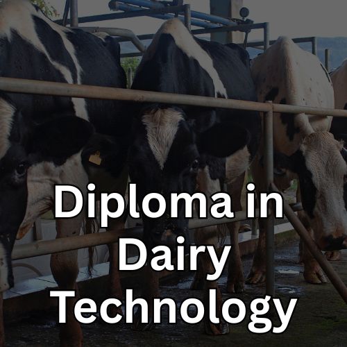 Diploma in Dairy Technology